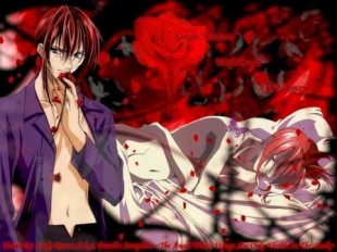 Белый крест OVA / Weiss Kreuz OVA