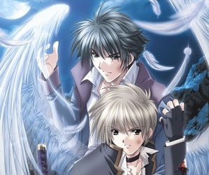 Перо ангела / Angel's Feather
