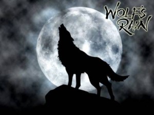 Волчий дождь / Wolf's Rain
