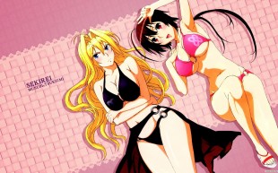 Сэкирей: Венчание / Sekirei Pure Engagement