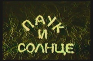 Паук и солнце
