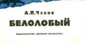 Белолобый 